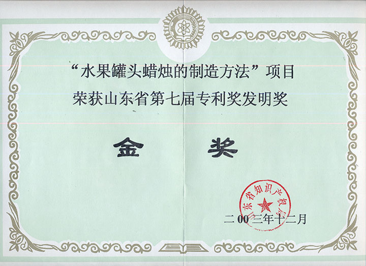 Gold medal of invention award of the seventh patent award of Shandong Province