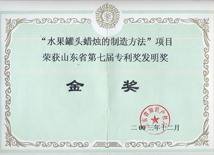 山东省第七届专利奖发明奖金奖